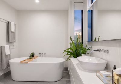 A bathroom with a freestanding oval tub, a potted plant and a tall window