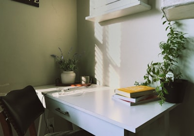 A small white desk against a green wall, holding a few books and two plants and nothing else